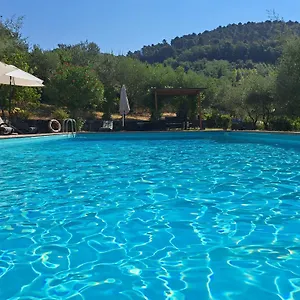 Alloggio per agriturismo Agriturismo Poggio All'olmo, Greve in Chianti